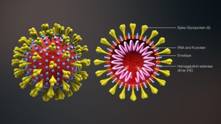 3D_medical_animation_corona_virus-640x360